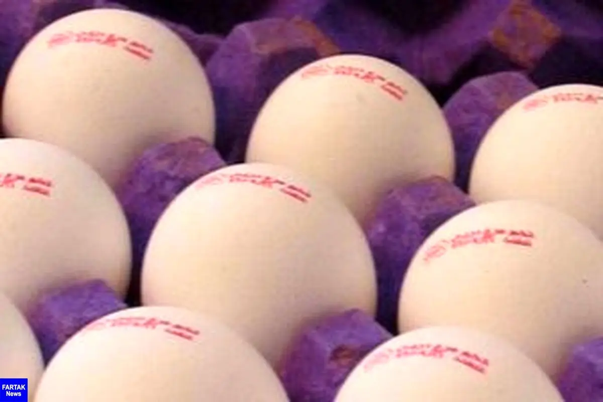 آخرین نواسانات قیمت تخم مرغ در بازار