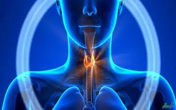 مبتلایان به کم کاری تیروئید این رژیم غذایی را داشته باشند