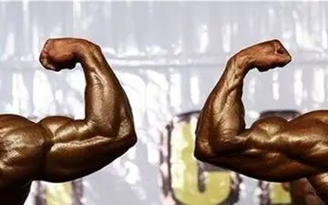 اصفهان قهرمان مسابقات پرورش اندام کشور شد