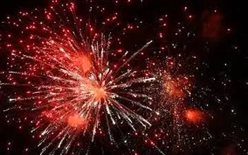 جشنواره نیلوفر آبی در چین با نورافشانی مسحورکننده