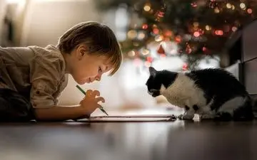 نگهداری از گربه ها و افزایش خطر ابتلا به اسکیزوفرنی!

