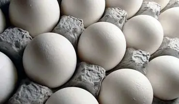 هر شانه تخم مرغ ۳۰ عددی در حدود ۲۰.۰۰۰ تومان 
