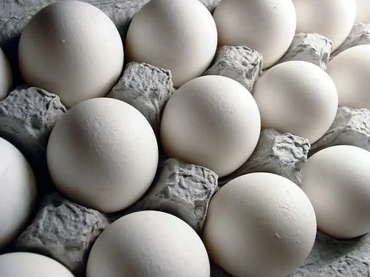هر شانه تخم مرغ ۳۰ عددی در حدود ۲۰.۰۰۰ تومان 