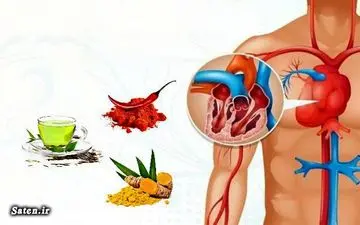 شش خوراکی مفید برای تقویت گردش خون در فصل سرما