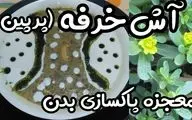 طرز تهیه آش پرپین؛ غذای سنتی کردستان با طعمی فراموش‌نشدنی