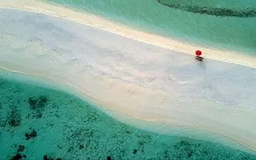  عکس منتخب نشنال جئوگرافیک | قرمز تنها