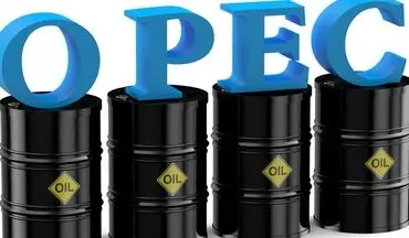 هر بشکه سبد نفتی اوپک 21.19 دلار معامله شد
