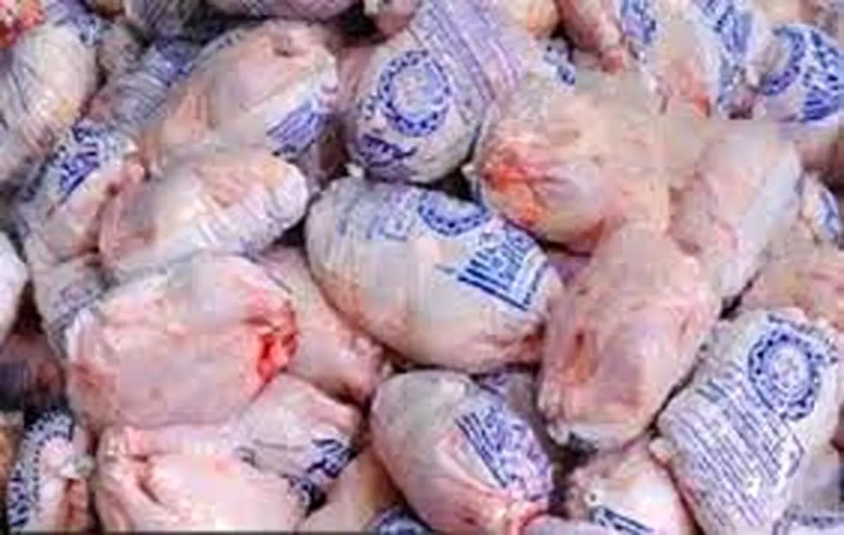  عرضه مرغ مرده به بازار صحت ندارد