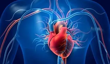 چرا بیماری عروق کرونر در زنان بیشتر است؟