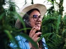 سایه سنگین روان‌پریشی و بیماری‌های قلبی بر ماری‌جوانای درمانی