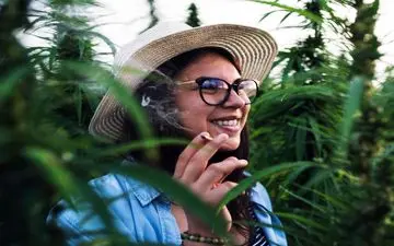 سایه سنگین روان‌پریشی و بیماری‌های قلبی بر ماری‌جوانای درمانی