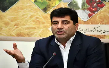 مرغ منجمد با قیمت مصوب دولتی در آذربایجان شرقی عرضه می‌شود