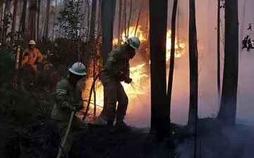 آتش سوزی مهیب در جنگل پرتغال + فیلم