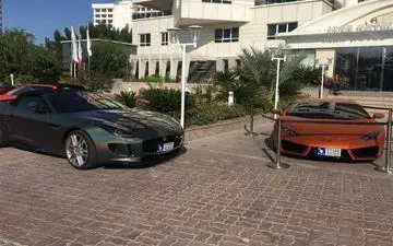 دو مهمان لاکچری در ایران