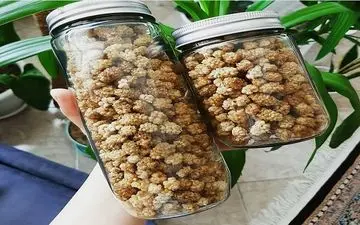 باورت میشه توت خشک این خواص رو داشته باشه؟ بیا خودت بخون!