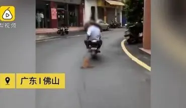 اقدام غیرانسانی و وحشیانه دو موتورسوار با سگ در خیابان!
