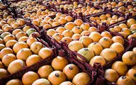 واردات پرتقال برای بازار شب عید یک ضرورت تلقی می‌شود