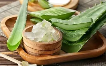 تاثیر شگفت انگیز این گیاه در چربی سوزی!