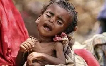 فائو: ناامنی غذایی ارمغان جنگ در خاورمیانه و شمال آفریقا است