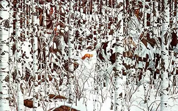 چالش جالب| بگو ببینم چند شوالیه در تصویر وجود دارد؟ +پاسخ 