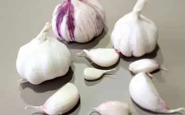 چقدر در مورد سیر می دانید؟ | اطلاعاتی جالب درباره سیر!