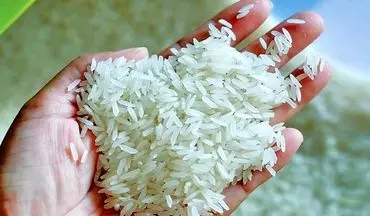 برنج پاکستانی چند شد؟ نرخ روز دانه‌بلند در ۲۱ شهریور