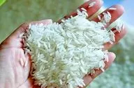 برنج پاکستانی چند شد؟ نرخ روز دانه‌بلند در ۲۱ شهریور