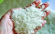 برنج پاکستانی چند شد؟ نرخ روز دانه‌بلند در ۲۱ شهریور