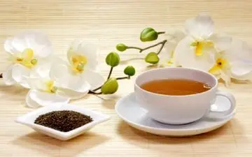 دمنوشهایی که هضم غذای شما را راحت می کند