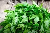 این سبزی پوست شما را زیبا و لاغری را به شما هدیه می‌دهد