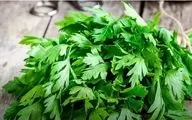 این سبزی پوست شما را زیبا و لاغری را به شما هدیه می‌دهد