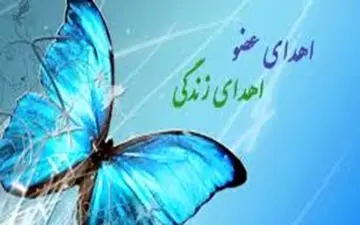 جوان 20 ساله نقده‌ای جان سه نفر را نجات داد