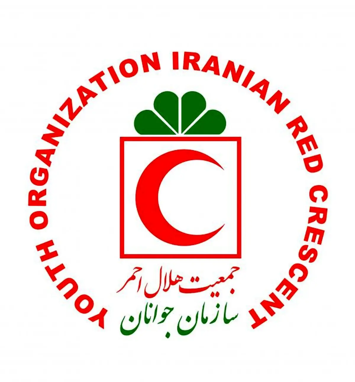 از امکانات سازمان امداد و نجات ایران شگفت‌زده شدم