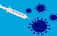 اهمیت دریافت واکسن تقویت کننده کرونا 