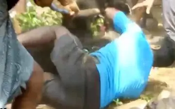 حمله خرس به مرد جوان+فیلم