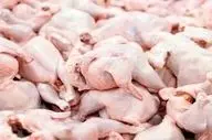 آخرین خبر رسمی درباره قیمت مرغ و تغییرات جدید آن