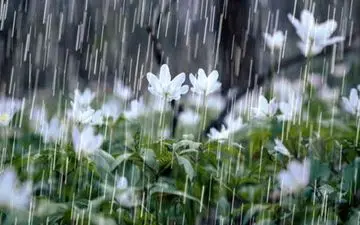 هوای مشهد سالم است/ آسمان همچنان بارانی
