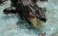 
لحظاتی ترسناک از مرگ فجیع انسان توسط تمساح غول‌پیکر + فیلم