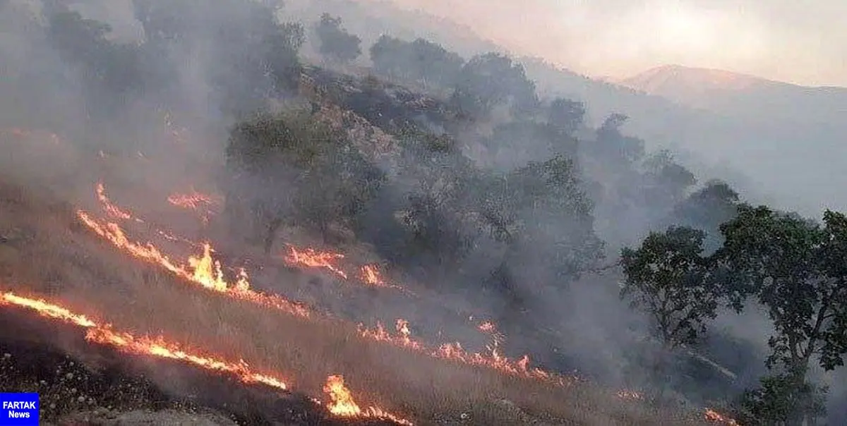 آتش‌سوزی در جنگل‌های «پاوه» جان یک نفر را گرفت