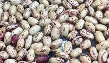  خبر رسمی درباره قیمت لوبیا چیتی اعلام شد (۱۱ مرداد) 