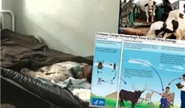 شیوع بیماری تب کنگو در "بلوچستان پاکستان" 