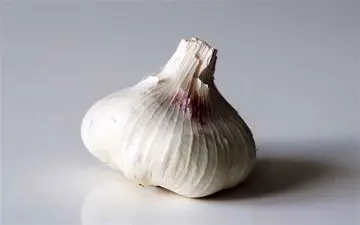 خواص سیر برای جلوگیری از لخته خون