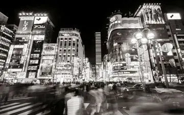 عکس منتخب نشنال جئوگرافیک | نظم در هرج و مرج