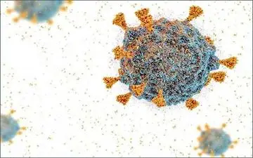 
لیست شهرهای پرخطر و عادی کرونایی در کشور+ نقشه