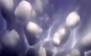 ابر‌های عجیب و غول‌پیکری که همه را شگفت‌زده کردند 