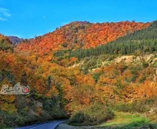 گزارش تصویری از جاده رویایی و دریاچه الندان در فصل پاییز مازندران