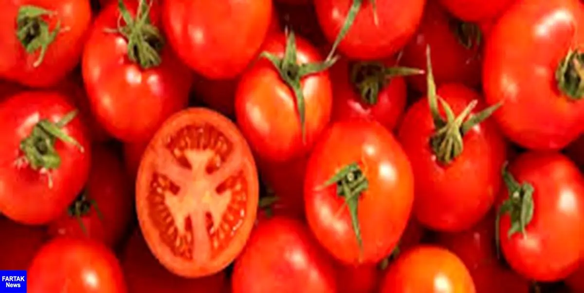 گران شدن گوجه فرنگی ربطی به افزایش قیمت بنزین ندارد