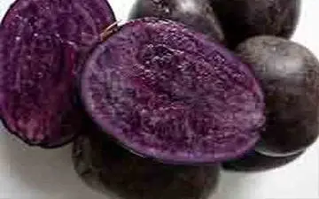 تاثیر سیب زمینی بنفش بر سرطان روده