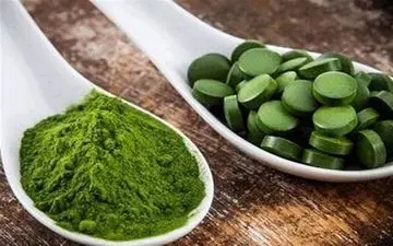 هشدار درباره عوارض یک جلبک خوراکی/ اسپیرولینا غذا نیست