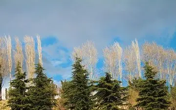  تهران «فعلا» نفس می‌کشد/تعطیلات نوروزی و استمرار هوای سالم 